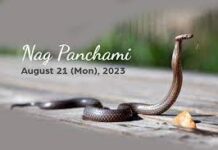Nag Panchami festival 2023,नाग पंचमी त्योहार के पीछे की कहानी