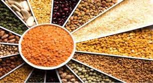 Discover 5 incredible advantages of pulses for managing your health